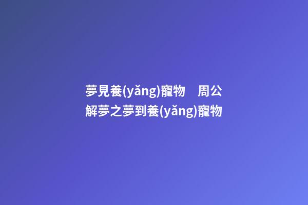 夢見養(yǎng)寵物　周公解夢之夢到養(yǎng)寵物